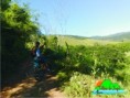 /album/trilha-do-alambique/trilha-do-alambique04-jpg/